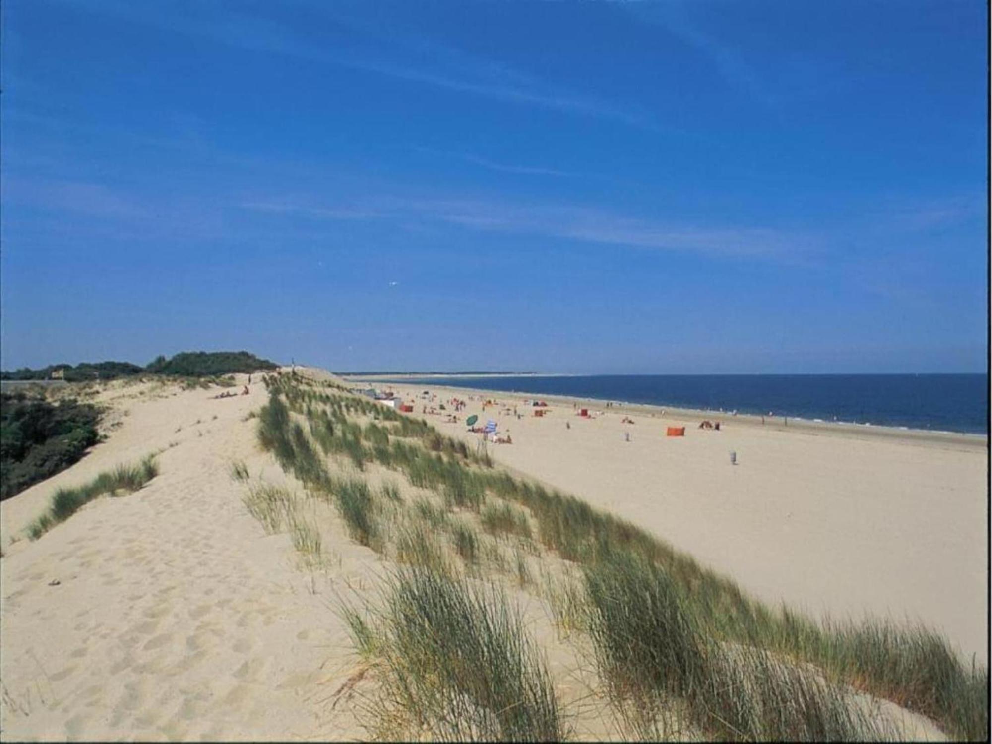Luxury In R Sidence Marina Pet Friendly Appartement Kamperland